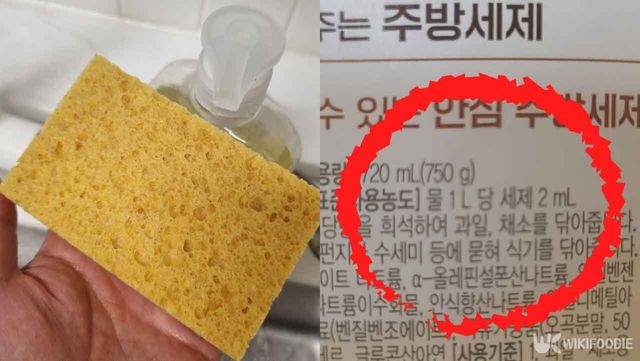 위키푸디