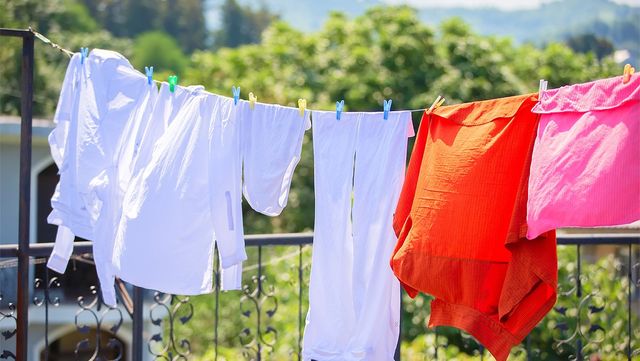 SviatlanaLaza-shutterstock.com