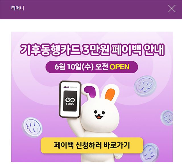 기후동행카드 환급 신청란. /&nbsp;티머니 카드 홈페이지