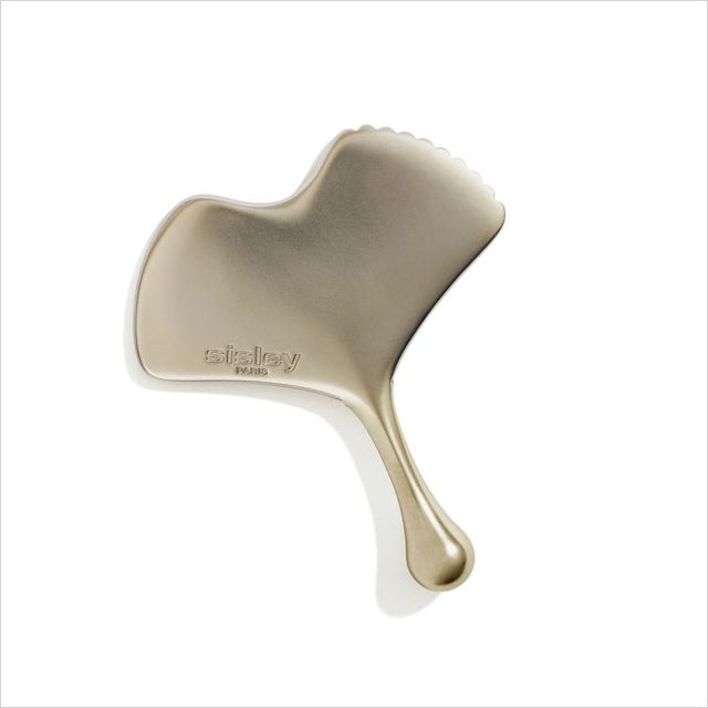 징코 과샤 19만원 Sisley