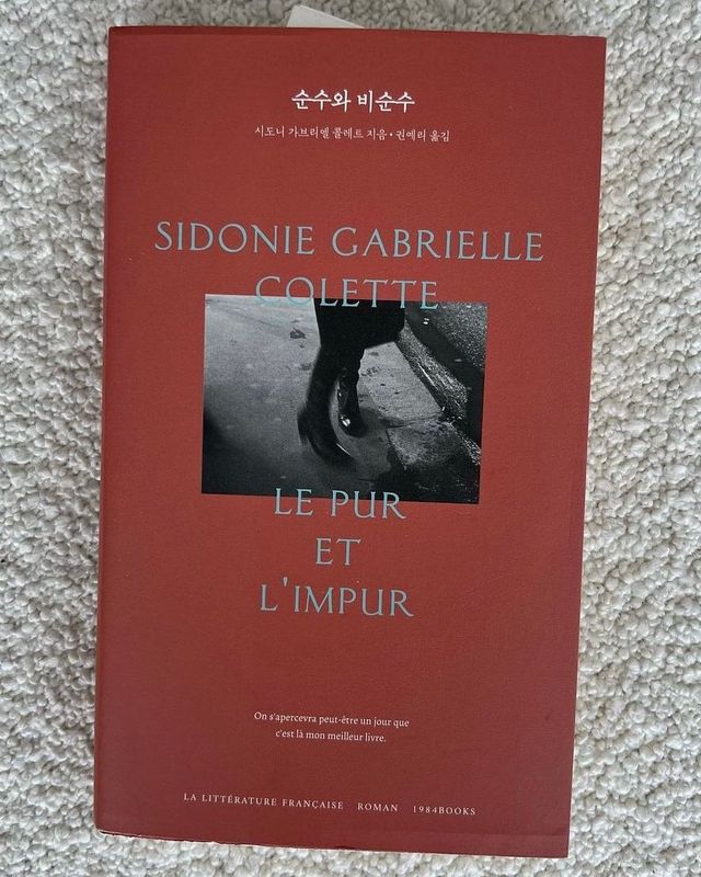 인스타그램 @m_kayoung