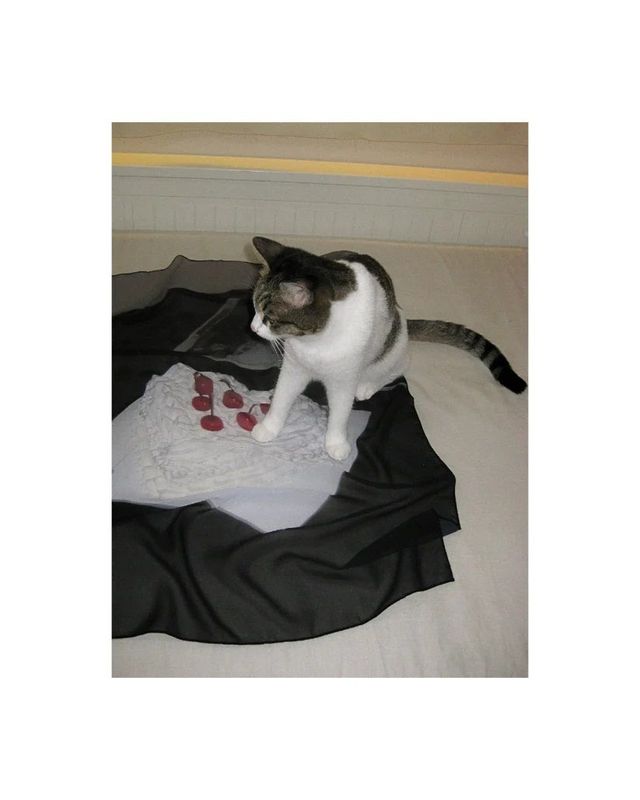 카바라이프 홈페이지