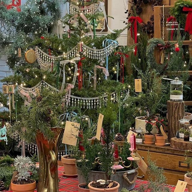 인스타그램 @slow_pharmacy