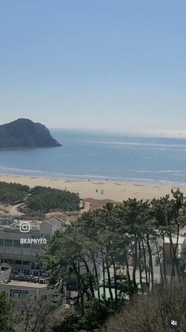 인스타그램 @busan_sahagu