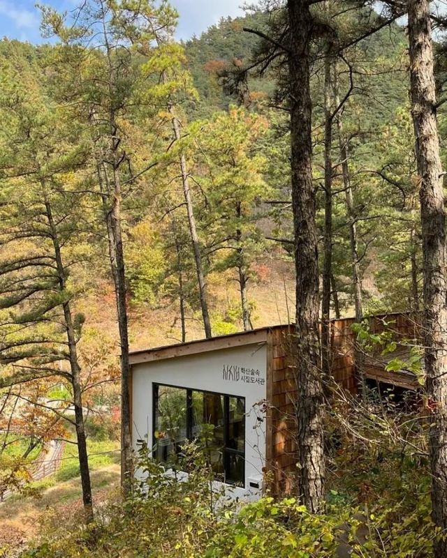 인스타그램 @booknplace_official