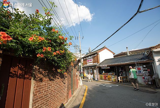 서울특별시 홈페이지