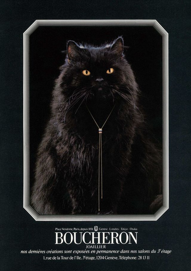 12 콰트로 타이 네크리스가 등장한 2020 콰트로 캠페인.