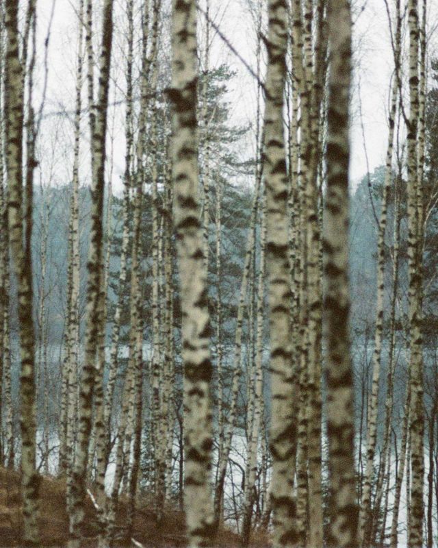 라부르켓이 지향하는 스웨덴의 광활한 자연. 