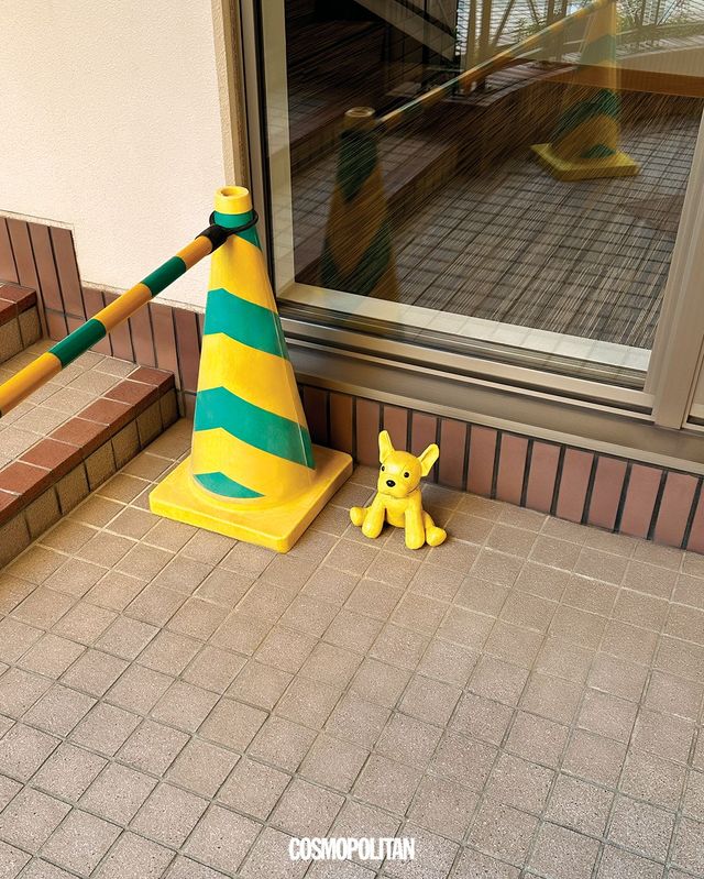 프렌치 불도그 인형 60만원대 MCM.