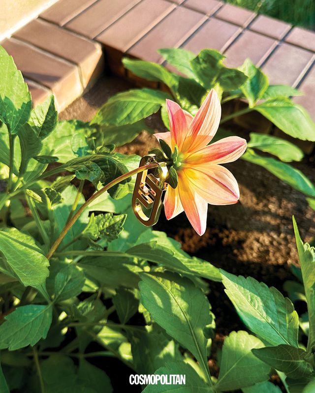 싱글 오벌 이어링 1백만원대 Fendi. 