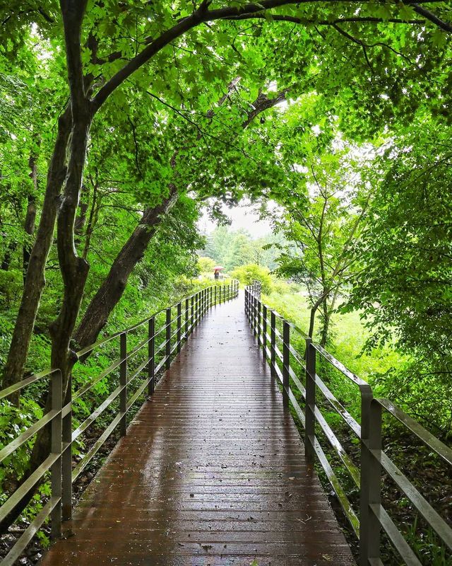 국립수목원 무료 개방 @kna_story