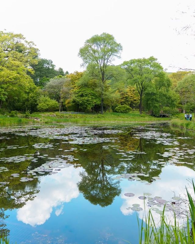 국립수목원 무료 개방 @kna_story