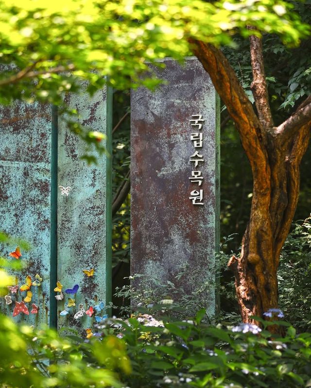 국립수목원 무료 개방 @kna_story