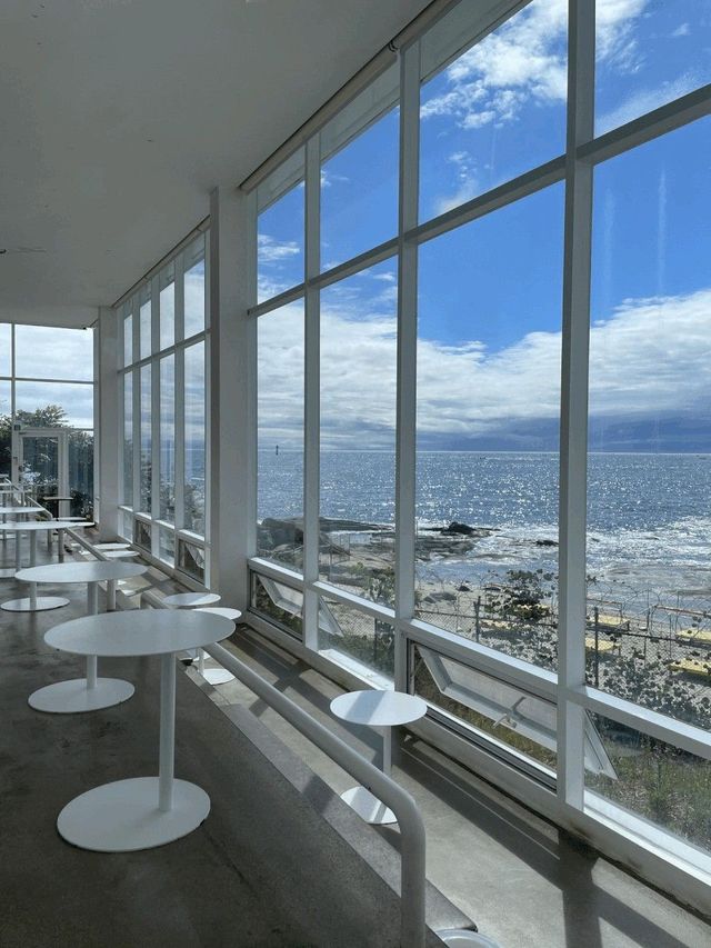 통창을 통해 푸른 동해 바다를 보며 커피 한 잔의 여유를 즐길 수 있는 스위밍 터틀. 사진 네이버 지도 스위밍 터틀업체 등록 사진