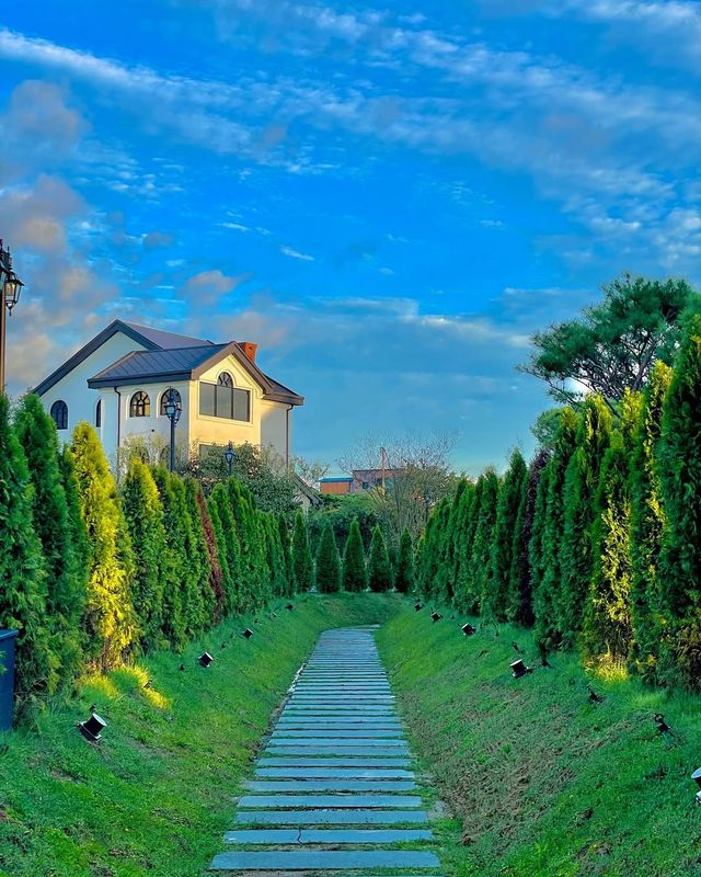 넓은 정원에서 산책하기 좋은 더비. 인스타그램 @thebee_cafe_