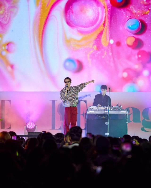 엘르 스테이지 무대를 즐기는 자이언티. 