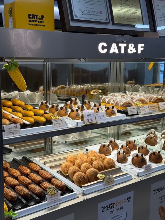 캣앤에프의 강원 찰옥수수소금빵과 다양한 디저트들. 네이버지도 캣앤에프 업체 등록 사진