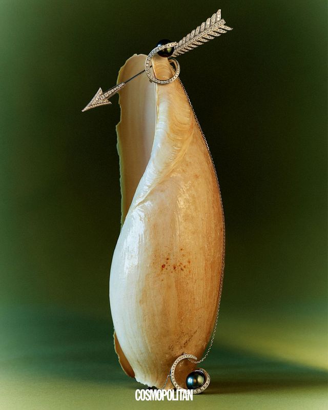 (위부터)화살을 표현한 플레쉬 다이아몬드 브로치 3천만원대 Boucheron. 다이아몬드가 진주를 감싼 디자인의 오로라 링, 오로라 네크리스 모두 가격미정 Tasaki. 