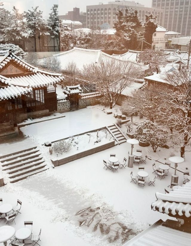 로우루프에서 보이는 뷰와 크리스마스 쿠키. 네이버지도 로우루프 업체 등록 사진