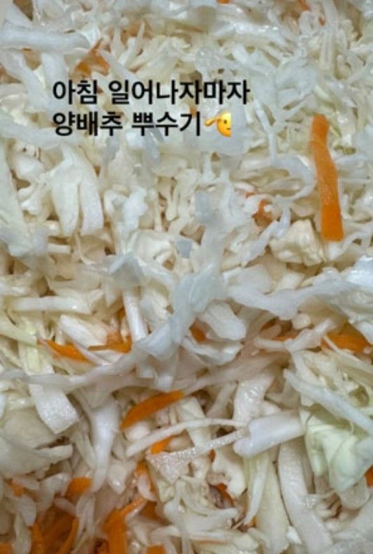 인스타그램 @bbongsunny