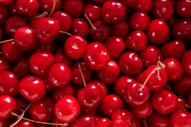 게티 이미지 뱅크