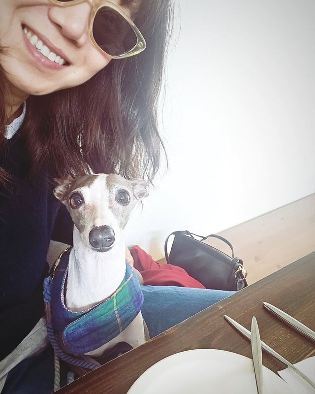 인스타그램 @rovvxhyo