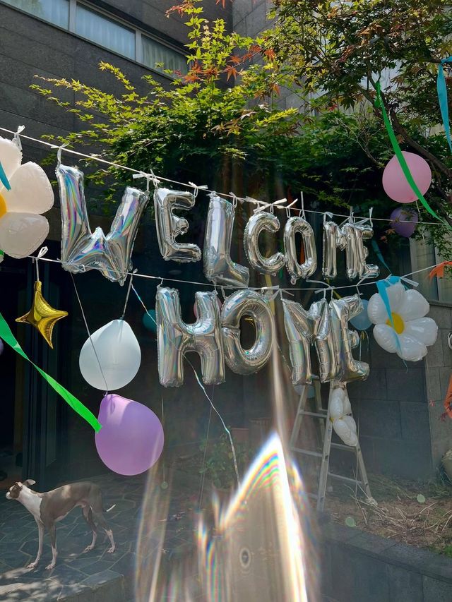 인스타그램 @rovvxhyo