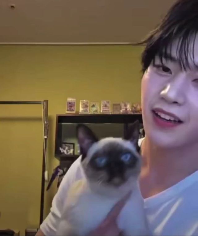 인스타그램 @zb1official