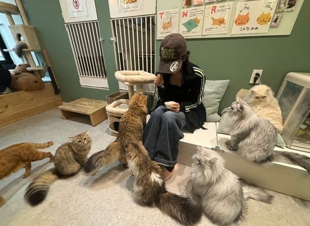 인스타그램 @imnotningning