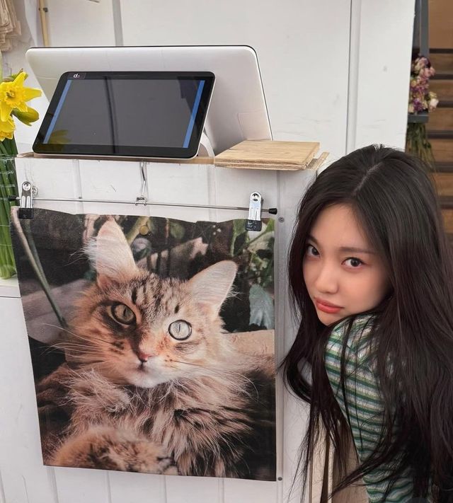 인스타그램 @imnotningning