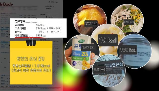 유튜브 〈나도 최강희〉