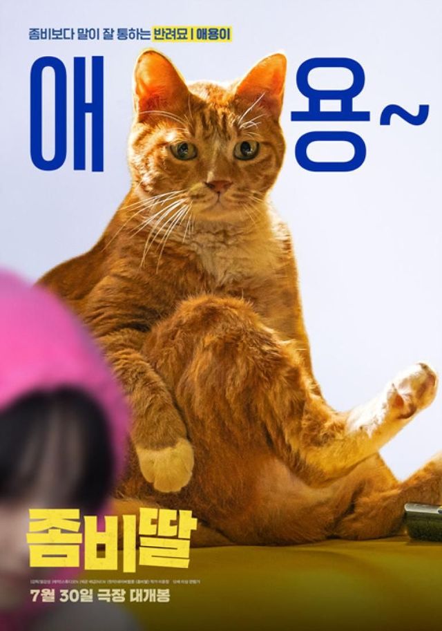 인스타그램 @itsnew_movie