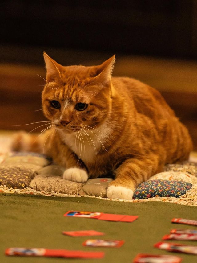 인스타그램 @itsnew_movie