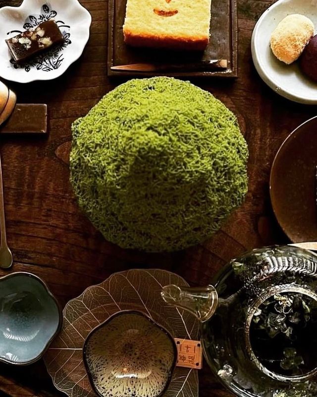 인스타그램 @t.nomad_kr