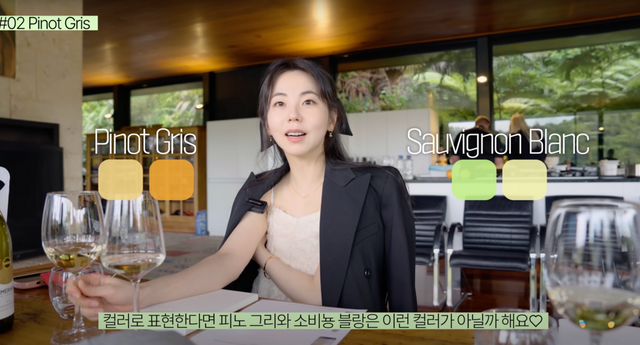 유투브 채널 〈안소희〉