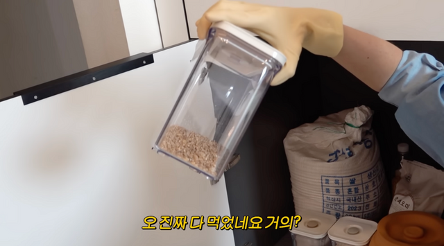 유튜브 채널 〈공부왕찐천재 홍진경〉