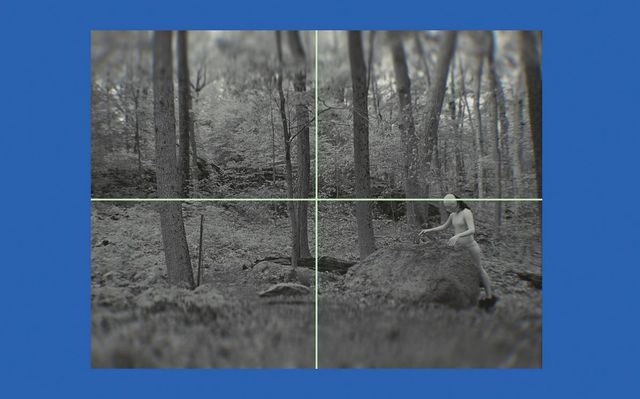 IM Youngzoo, Calming Signal, 2023/2025, Three-channel video installation. Concept image.