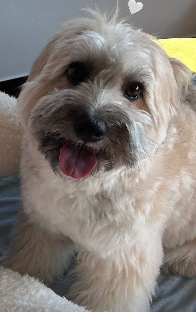 인스타그램 @leejung_lee