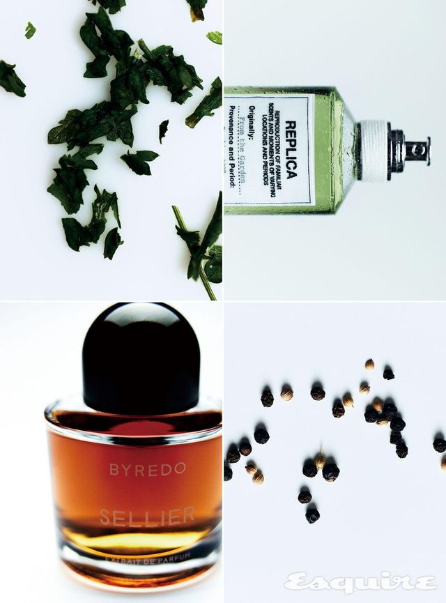 싱싱한 토마토 이파리와 파촐리, 톡 쏘는 만다린 향이 조화를 이룬 레플리카 프롬 더 가든 오 드 뚜왈렛 100mL/21만5000원 메종 마르지엘라 퍼퓸. 담뱃잎의 맵싸한 향이 분위기를 환기하는 나이트 베일스 셀리에 50mL/49만원 바이레도.