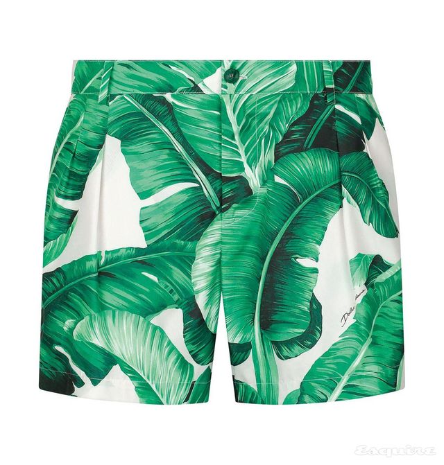 스윔 쇼츠 104만원 돌체앤가바나.