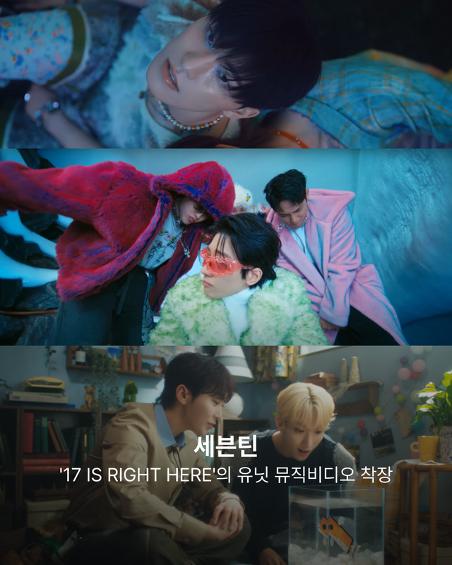 세븐틴 @saythename_17