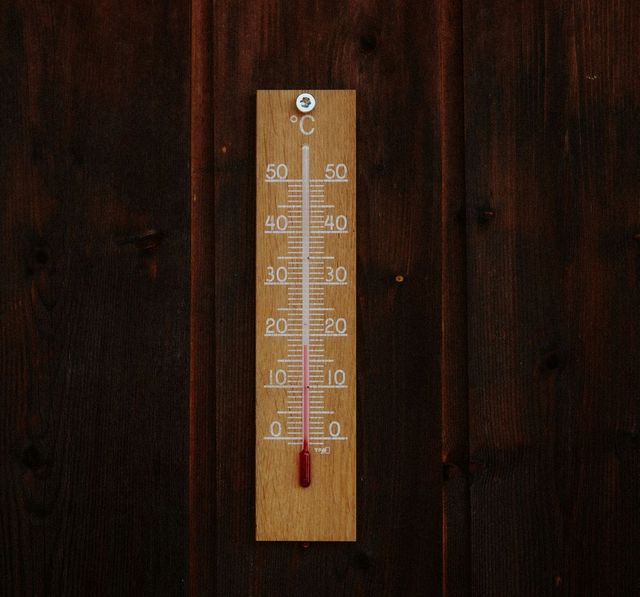 온도 20도 이상이면 겨울에도 생존/ 출처 언스플래쉬