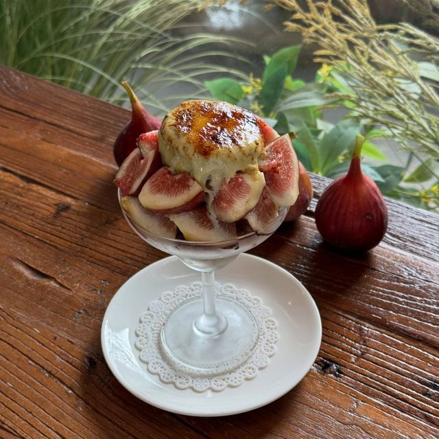 네이버지도 업체 등록/ 보연희 무화과 파르페 