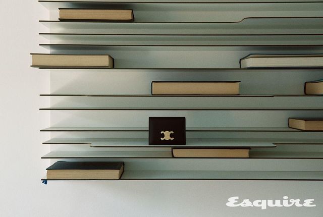 샤이니 카프스킨 바이폴드 카드 지갑 가격 미정 셀린느.