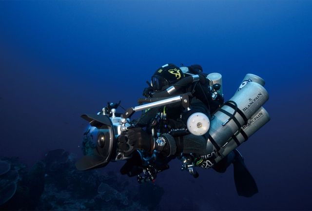 말루쿠 군도의 수수께끼로 둘러싸인 무척추 동물을 찾아 내려가는 언씬 탐사원. 블랑팡과 언씬은 이 탐사를 통해 12종의 토착 생물과 30여 종의 물고기를 새로 발견했다.