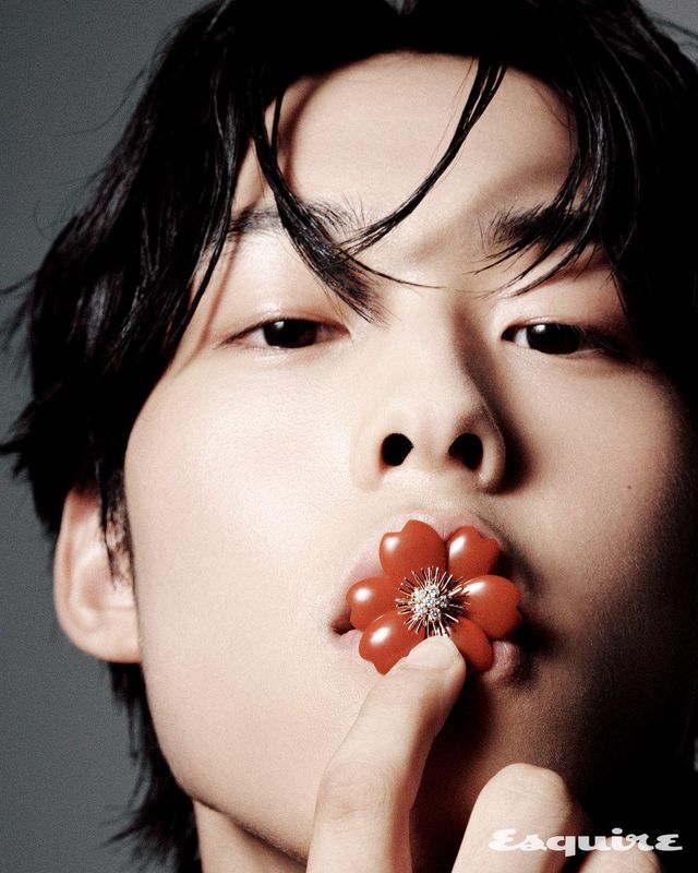 커넬리언과 다이아몬드를 세팅한 로즈 드 노엘 클립 가격 미정 반클리프 아펠.