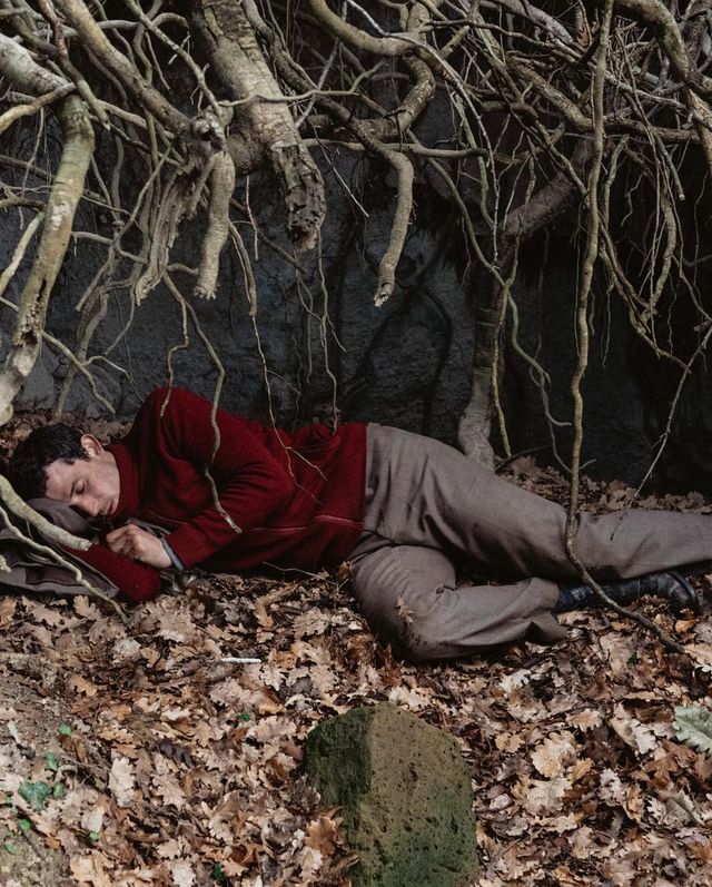 '나이브스 아웃3' 조쉬 오코너 TMI 12 / 출처: 인스타그램 @neonrated