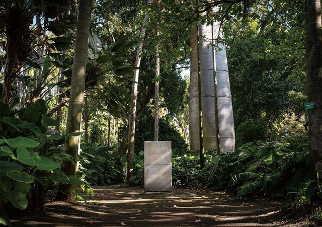 브랜든 응의 작품 ‘유 메이 비 러브드’(You May be Loved)의 설치 전경. 릴리우오칼라니 여왕의 노래 ‘알로하 오에’의 하와이 가사는 뿌옇게 반쯤 지워져 있다. 