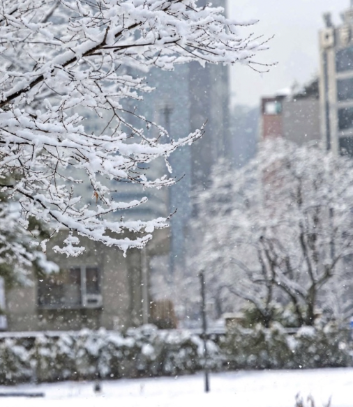 서울시 인스타그램