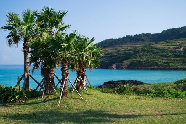 함덕해수욕장/ 출처 제주관광공사, Visitjeju.net